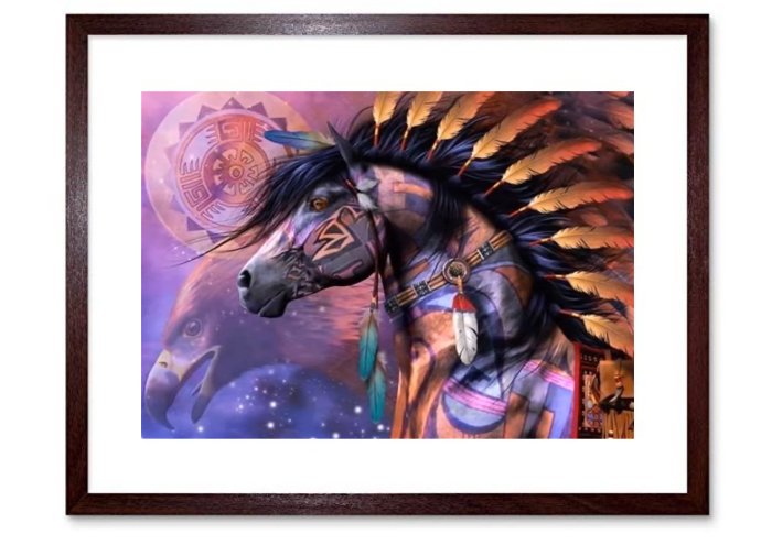 North American IndianFramed Print